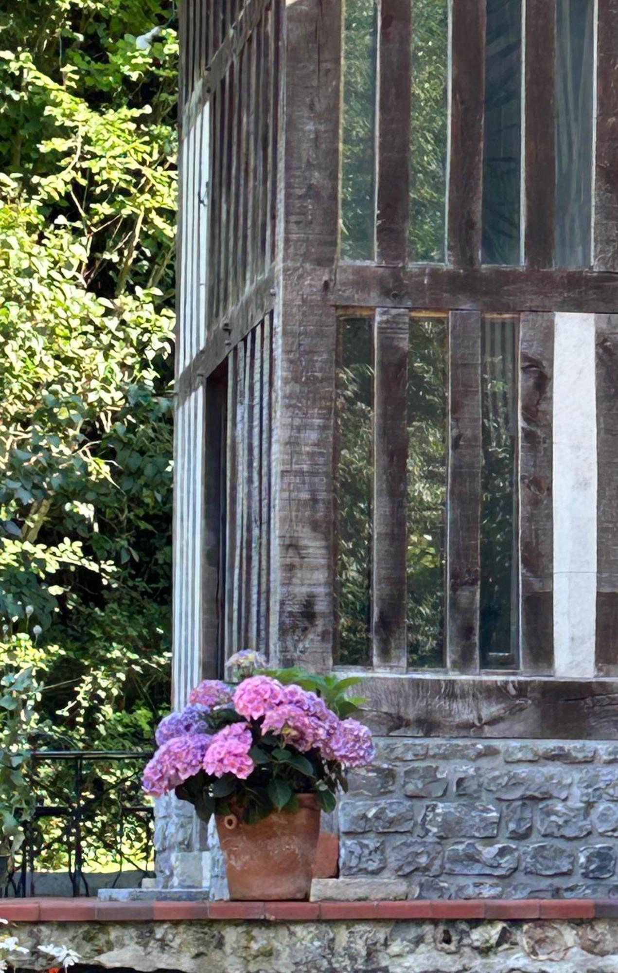 Les Hortensias Manerbe Exterior foto
